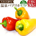 【ふるさと納税】〈選べる定期便〉温泉パプリカ 1回あたり5kg 合計10~30kg 隔月 定期便 2〜6ヶ月 パプリカ 野菜 大分県産 九重町産 通年栽培 愛彩...
