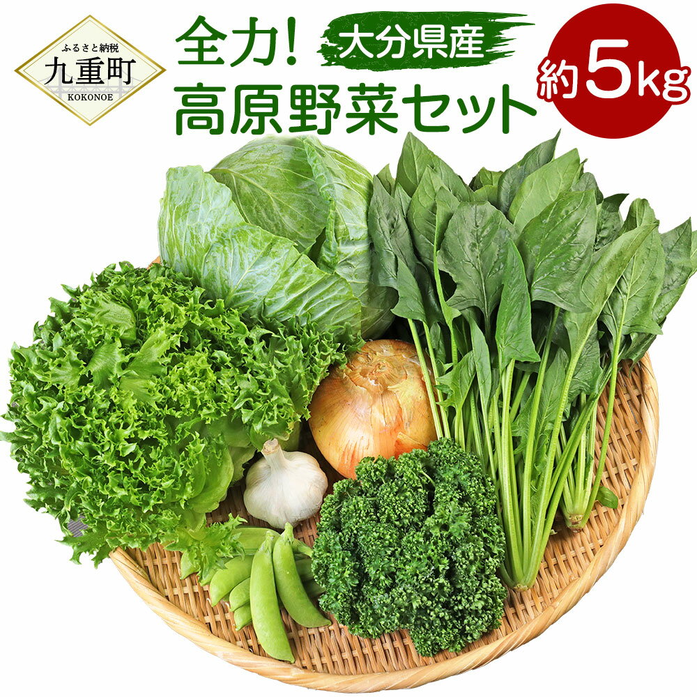 【ふるさと納税】大分県産 全力！ 高原野菜セット 約5kg 5～8品 種類おまかせ フリルレタス ほうれん草 パセリ スナップえんどう トウモロコシ 高原 野菜 採れたて 新鮮 九州産 九重町 大分県 冷蔵 送料無料