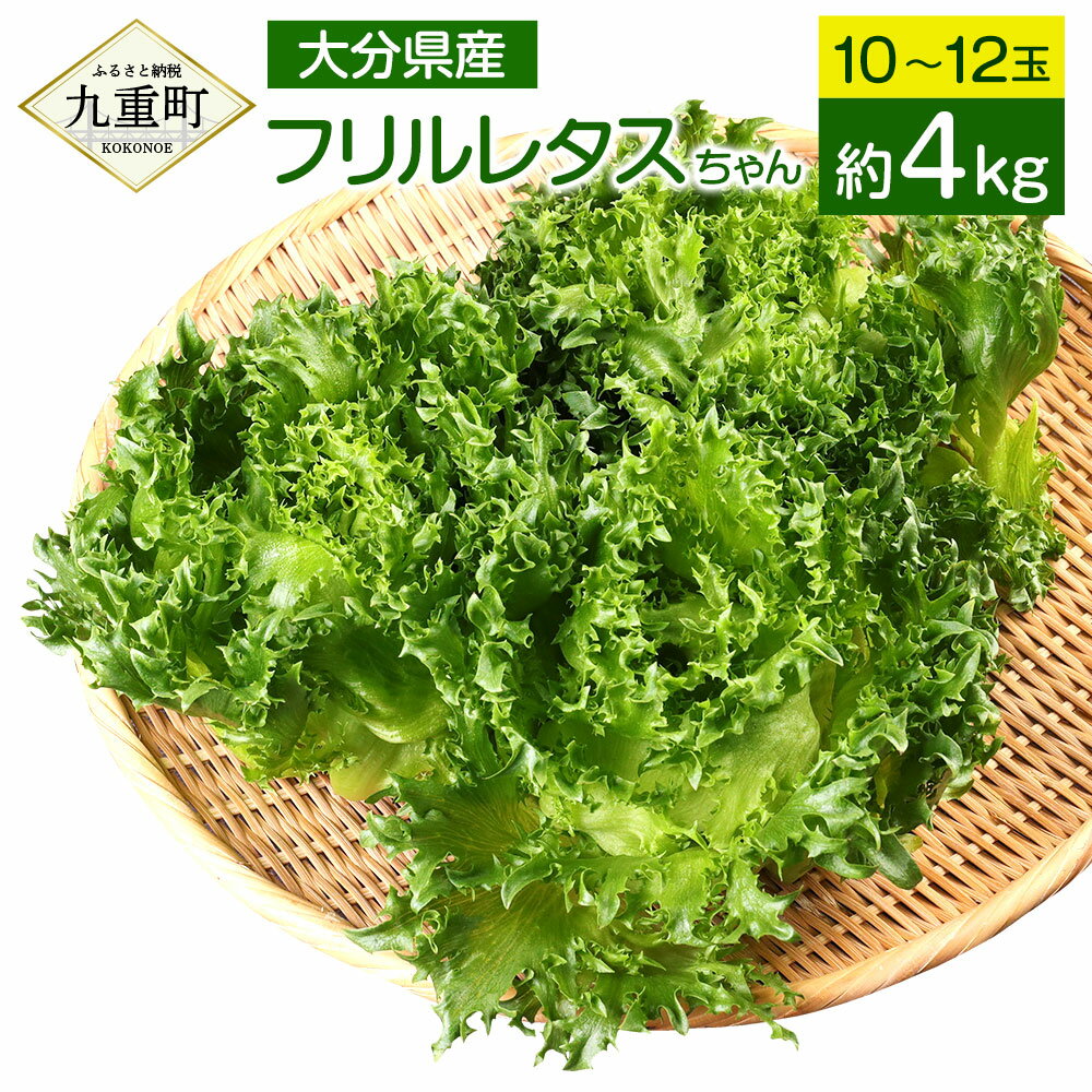 大分県産 フリルレタスちゃん 合計約4kg 10〜12玉 フリルレタス レタス サラダ 高原 野菜 採れたて 新鮮 九州産 九重町 大分県 冷蔵 送料無料