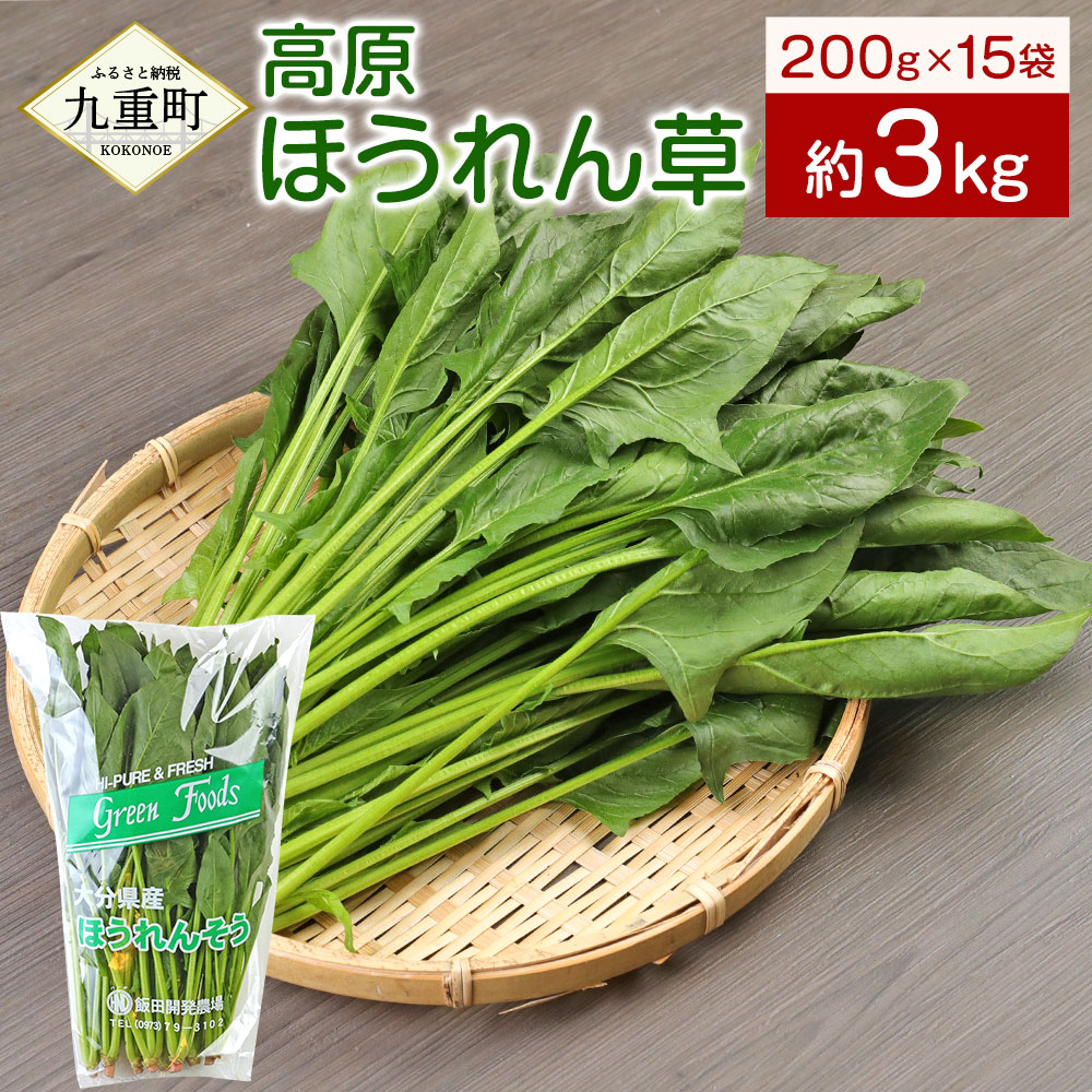 プランターでも冬に育てられる野菜10選 気になる冬時期の栽培ポイントも解説 Kurashi No