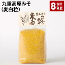 【ふるさと納税】九重高原みそ(麦白粒) 1kg×8袋 計8kg 麦みそ 味噌 白色系 大麦 大豆 調味料 大分県産 九州 国産 大分県 九重町 送料無料