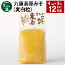 【ふるさと納税】【定期便】【1ヶ月毎3回】九重高原みそ(麦白粒) 1kg×4袋 計12kg(4kg×3回) 麦みそ 味噌 白色系 大麦 大豆 調味料 大分県産 ...