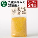 【ふるさと納税】【定期便】【1ヶ月毎6回】九重高原みそ(麦白粒) 1kg×4袋 計24kg(4kg×6回) 麦みそ 味噌 白色系 大麦 大豆 調味料 大分県産 九州 国産 大分県 九重町 送料無料