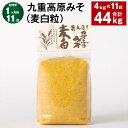 【ふるさと納税】【定期便】【1ヶ月毎11回】九重高原みそ(麦白粒) 1kg×4袋 計44kg(4kg×11回) 麦みそ 味噌 白色系 大麦 大豆 調味料 大分県産 九州 国産 大分県 九重町 送料無料