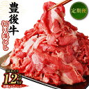 【ふるさと納税】【定期便】豊後牛 切り落とし 1回あたりの内容量 計約1.2kg 約600g×2パック 豊後牛 牛肉 霜降り 小分け 和牛 お肉 国産 九州産 大分県産 九重町産 冷凍 送料無料