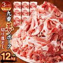 【ふるさと納税】【3ヶ月定期便】九重夢 ポーク お米豚 切り落とし 合計12kg 500g×8パック×3回 九重夢ポーク SPF豚 豚肉 小分け 真空パック お肉 切落し 国産 九州産 大分県産 九重町産 冷凍 送料無料