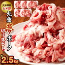 【ふるさと納税】九重夢 ポーク お米豚 切り落とし 約2.5kg 500g×5パック 九重夢ポーク SPF豚 豚肉 小分け 真空パック お肉 切落し 国産 九州産 大分県産 九重町産 冷凍 送料無料