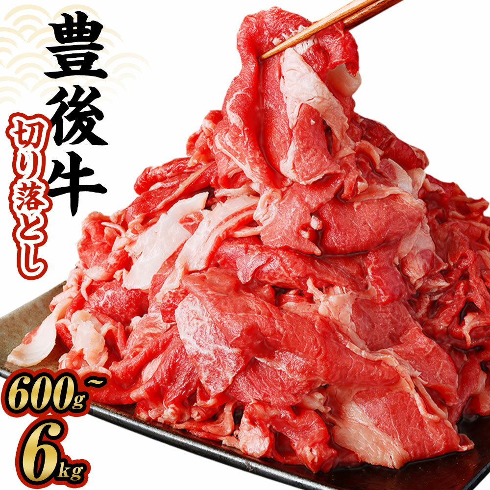 【ふるさと納税】豊後牛 切り落とし 600g～6kg 1パック約600g 豊後牛 牛肉 霜降り 小分け 和牛 お肉 国産 九州産 大分県産 九重町産 冷凍 送料無料