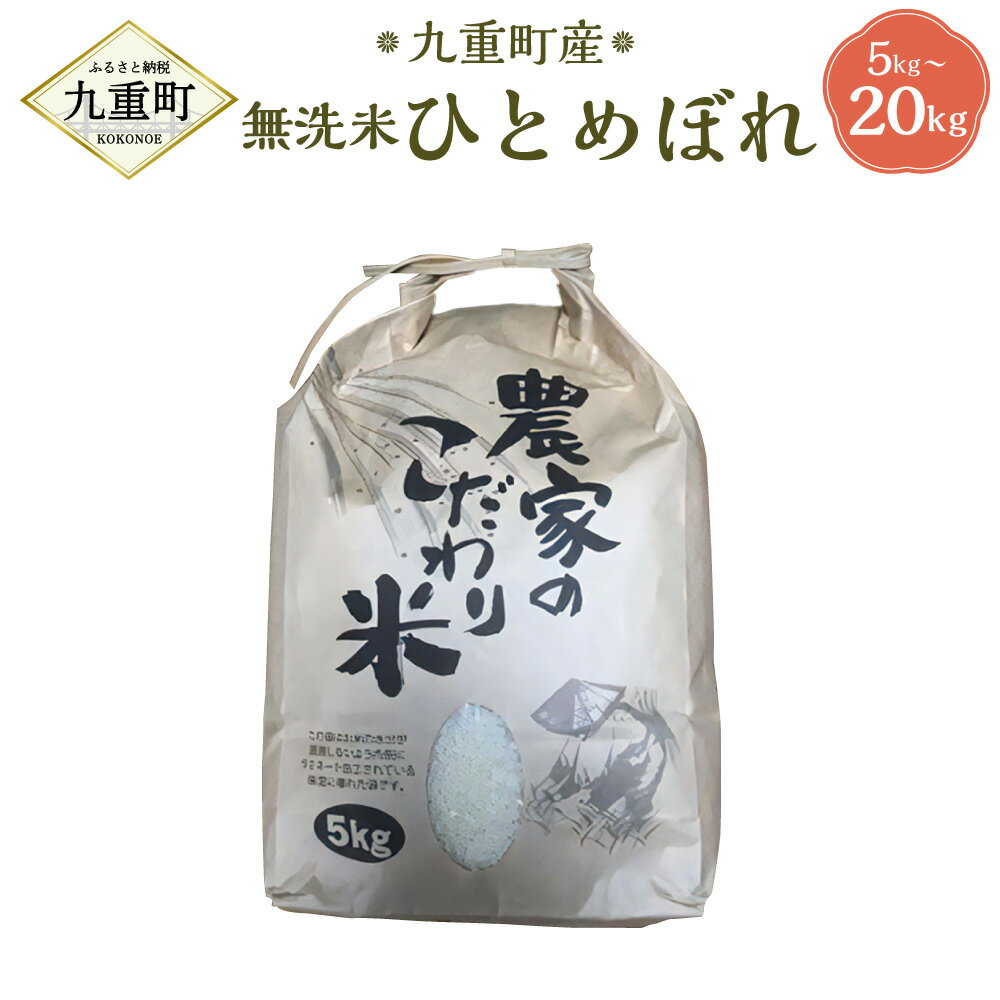 【ふるさと納税】【令和5年産】【無洗米】ひとめぼれ 5kg～