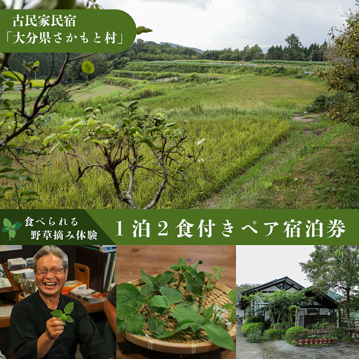 大分県さかもと村ペア1泊2日&食べられる野草摘み体験 大分県 さかもと村 ペア 1泊2日 体験 宿泊 夕食 朝食 古民家 野草摘み 野草 天ぷら 自家製野菜 創作料理
