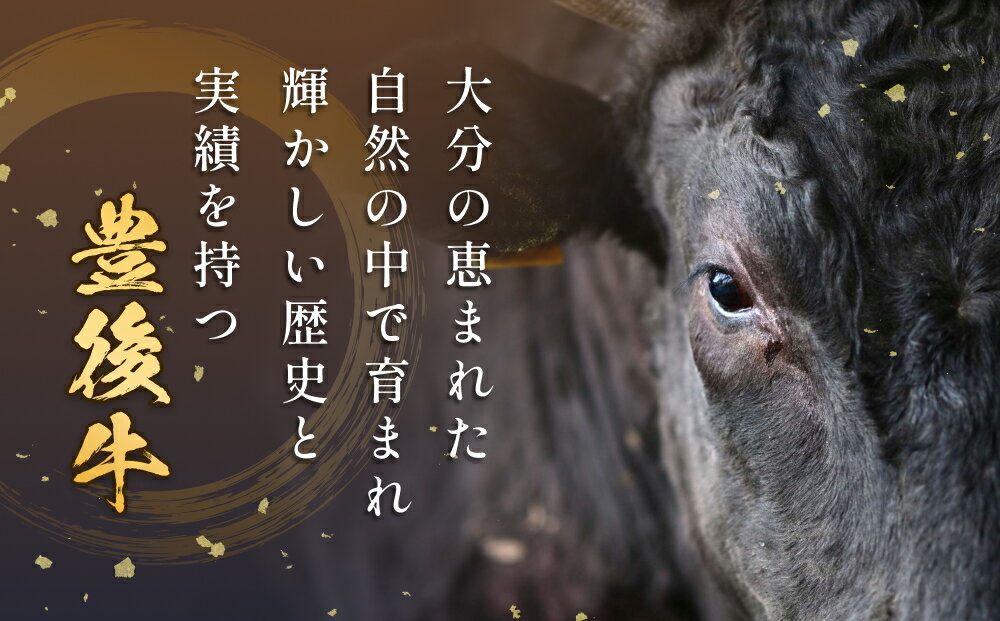 行列ができる精肉売り場の牛肉です！　【ふるさと納税】 おおいた豊後牛 黒毛和種 サーロインステーキ 220g×4枚 おおいた 豊後牛 黒毛和種 サーロイン ステーキ 牛肉 和牛 大分県 霜降り 柔らかい まろやか 甘み 天皇賞 農林水産大臣賞 内閣総理大臣賞 血統 配達指定