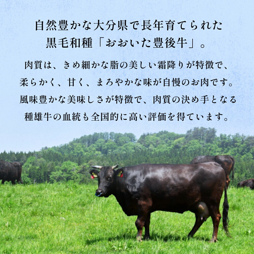 行列ができる精肉売り場の牛肉です！　【ふるさと納税】 おおいた豊後牛 黒毛和種 サーロインステーキ 220g×4枚 おおいた 豊後牛 黒毛和種 サーロイン ステーキ 牛肉 和牛 大分県 霜降り 柔らかい まろやか 甘み 天皇賞 農林水産大臣賞 内閣総理大臣賞 血統 配達指定