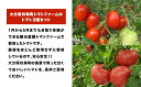大分県玖珠町の画像2