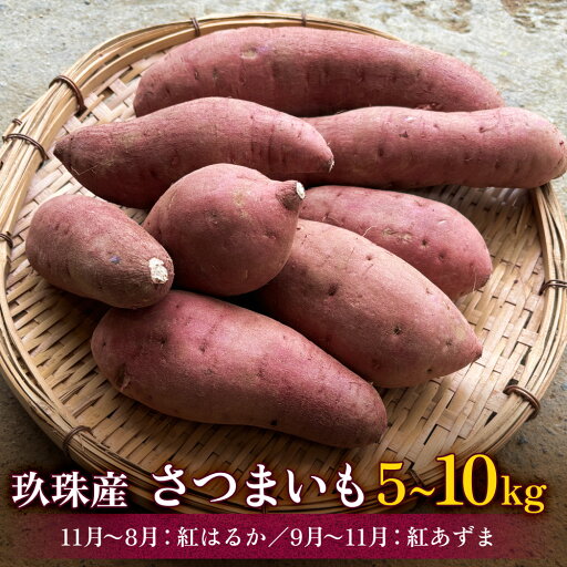 【ふるさと納税】 大分県産玖珠産 さつまいも 5kg - 10kg 紅はるか(11月~8月)紅あずま(9月~11月) 【ふるさと納税】 大分県産玖珠産 さつまいも 5kg - 10kg 紅はるか(11月~8月)紅あずま(9月~11月)