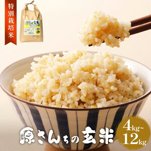 【ふるさと納税】令和7年度産 原さんちの玄米 玄米 選べる 4kg-12kg ヒノヒカリ 有機質肥料 特別栽培米 原農園 完熟堆肥 アートテン農法 抗酸化農法 有効微生物農法 光合成 体に良い 美味しい お米 安全 清潔 環境に優しい 栄養価 高品質 産地直送 健康志向
