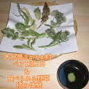 【ふるさと納税】大分県さかもと村ペア1泊2日＆食べられる野草摘み体験