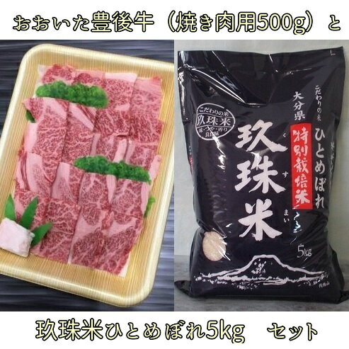 玖珠米ひとめぼれ5kgとおおいた豊後牛(焼肉用500g)セット