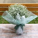 【ふるさと納税】 かすみ草 のPompon ブーケ かすみ草 生花 ブーケ 花束 大分県 玖珠郡 丸い形 可愛い 贈り物 ギフト お祝い 清らかな心 幸福 ドラ...