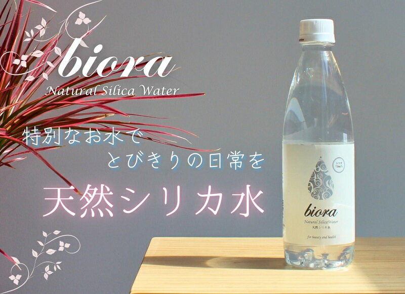 biora天然シリカ水 500ml×24本 /天然水 水 飲料水 シリカ 軟水 ミネラル 美容 備蓄 防災 大分県