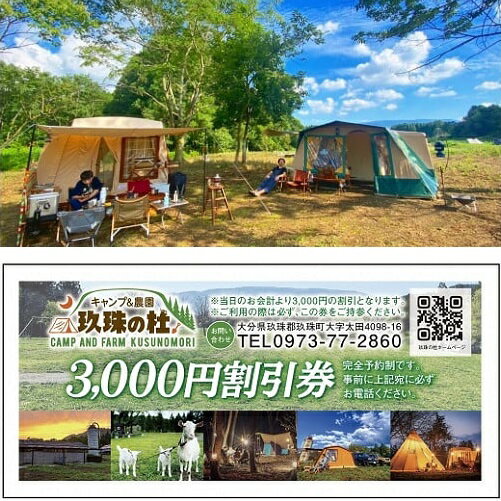 【ふるさと納税】キャンプ＆農園 玖珠の杜 3000円分チケット 利用券 チケット キャンプ場 アウトドア 旅行