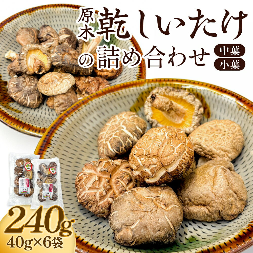 【ふるさと納税】原木乾しいたけの詰め合わせ（かわしま農園）240g 大分県 玖珠町 原木 乾しいたけ 乾燥しいたけ 椎茸 乾燥椎茸 かわしま農園 国産 特産物 干し椎茸 国内有数 品評会 18年連続優勝 安心 安全 国内生産 生産量全国一