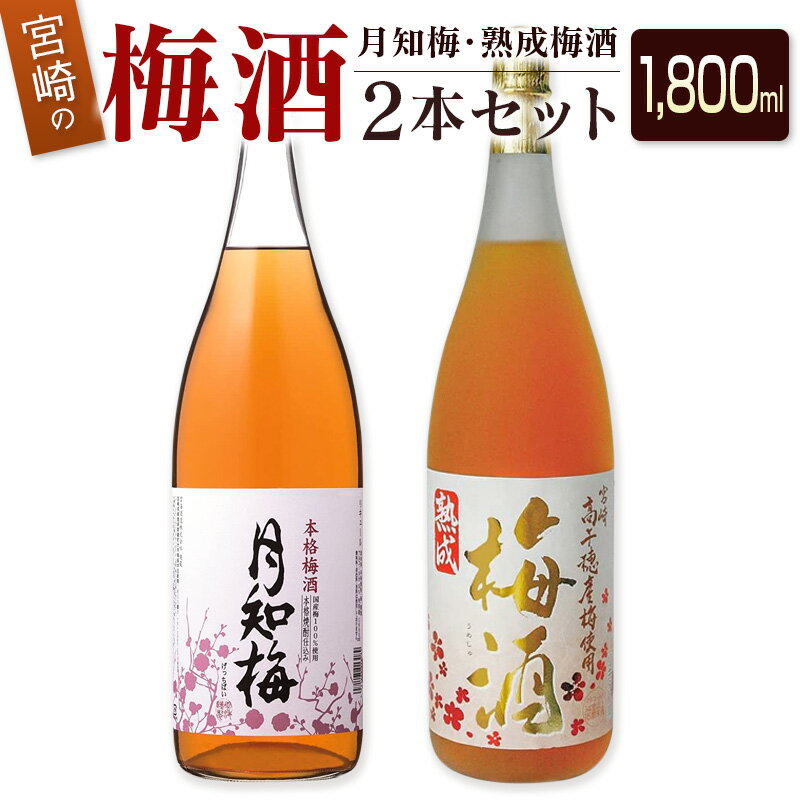 【ふるさと納税】◆宮崎の梅酒2本セット