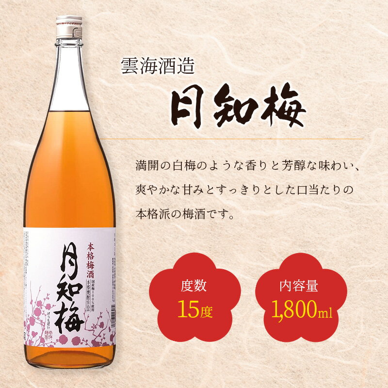 【ふるさと納税】◆宮崎の梅酒2本セット