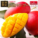 【ふるさと納税】◆宮崎県産 完熟マンゴー（合計約1kg）