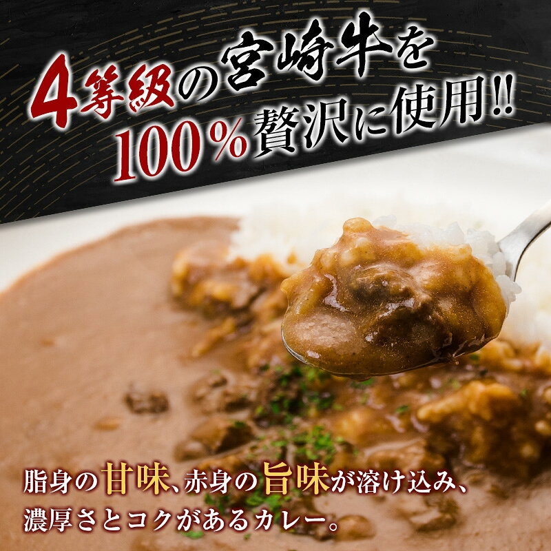 【ふるさと納税】◆4等級以上　宮崎牛カレー(180g×6箱) f450006-miyazaki-10000556 宮崎県 サンプル画像2