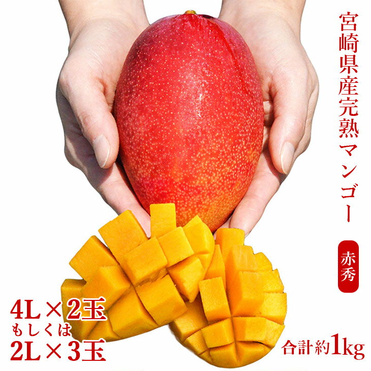 ◇宮崎県産完熟マンゴー[赤秀] 合計約1kg(2〜3玉)