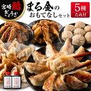 【ふるさと納税】宮崎鶏ぎょうざ まる金 のおもてなし5種セット 餃子のたれ付き