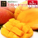 【ふるさと納税】□糖度15度以上!宮崎県産 「太陽のタマゴ」(合計約3kg)
