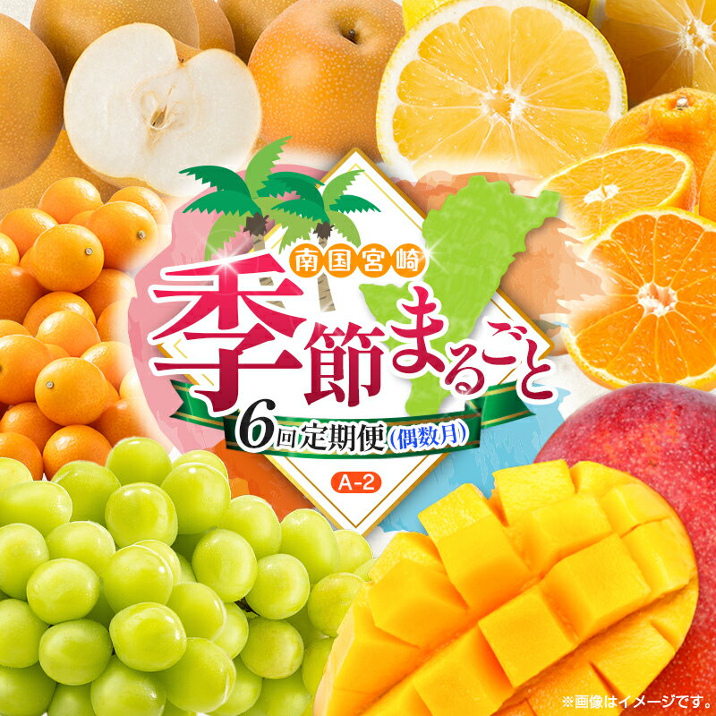 [偶数月 6回定期便]旬 人気 フルーツ 南国宮崎産 太陽のタマゴ きんかん シャインマスカット 日向夏 梨 みかん 柑橘 マンゴー ぶどう 果物 詰め合わせ[A-2コース M120]