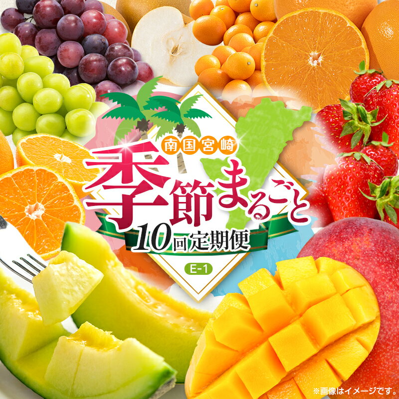 [10回定期便]旬 人気 フルーツ 南国宮崎産 太陽のタマゴ 金柑たまたまエクセレント シャインマスカット ピオーネ いちご みかん 梨 メロン 柑橘 マンゴー きんかん たまたま ぶどう 果物 詰め合わせ 宮崎県 九州[E-1コース M500]