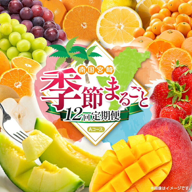 [12回定期便]旬 人気 フルーツ 南国宮崎産 太陽のタマゴ たまたまエクセレント シャインマスカット ピオーネ いちご みかん 日向夏 メロン 梨 柑橘 完熟 マンゴー きんかん たまたま ぶどう 果物 詰め合わせ 宮崎県 九州 1年 毎月お届け[Aコース M100]