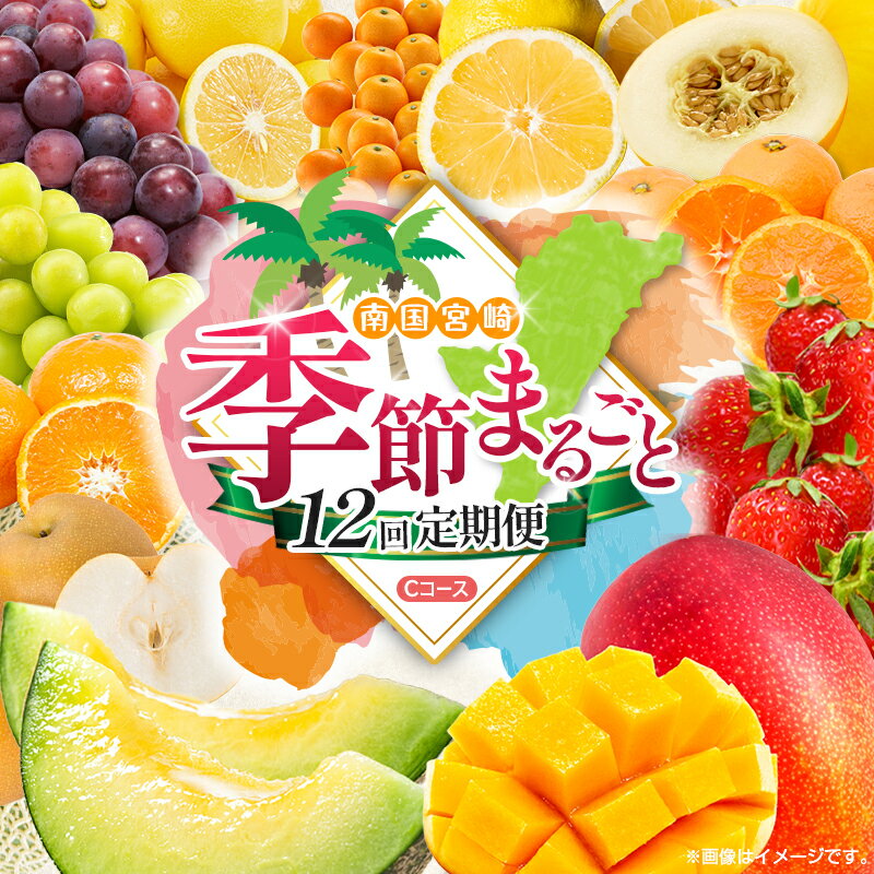 [12回定期便]旬 人気 フルーツ 南国宮崎産 マンゴー 金柑たまたま シャインマスカット ピオーネ いちご みかん 日向夏 メロン 梨 柑橘 きんかん ぶどう 果物 詰め合わせ 宮崎県 九州 1年 毎月お届け[Cコース M300]