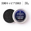 【ふるさと納税】宮崎キャビア1983 (30g)