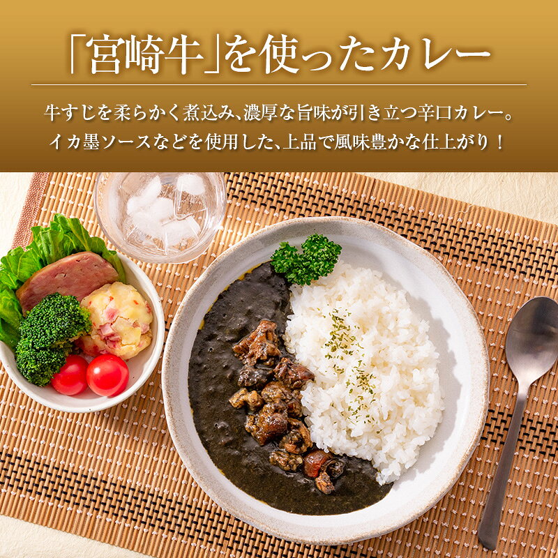 【ふるさと納税】◆宮崎牛すじ濃厚黒カレー(辛口)　合計1kg(200g×5食) f450006-miyazaki-10000564 宮崎県 サンプル画像2