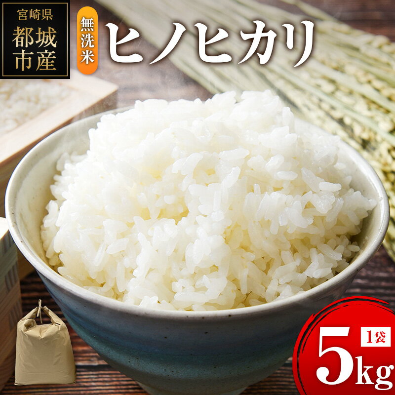 【ふるさと納税】ヒノヒカリ 無洗米 5kg (1袋) 宮崎県