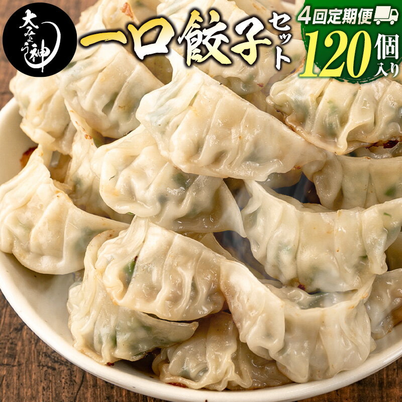 【ふるさと納税】◇<定期便・全4回>「一口餃子の大明神」一口餃子セット 2箱(120個入り) 毎月お届け