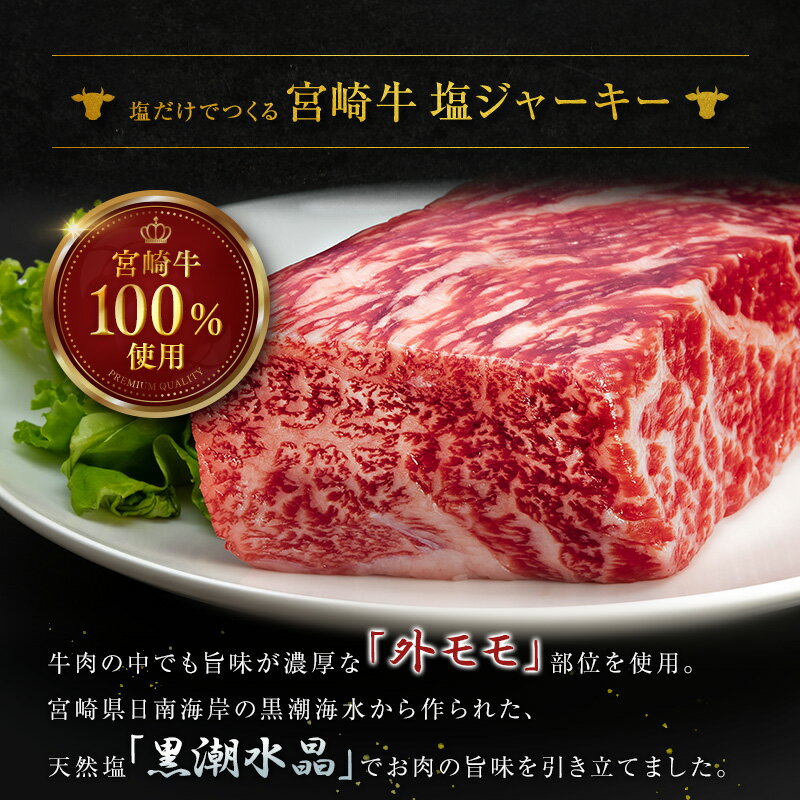 【ふるさと納税】塩だけでつくる 宮崎牛 塩ジャーキー 5袋（20g×5袋）ブランド牛 ビーフジャーキー おつまみ 珍味 グルメ 干し肉 宮崎県産