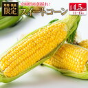 製品仕様 返礼品名 【ふるさと納税】朝採れスイートコーン (合計約4.5kg) 宮崎県産 内容量 約4.5kg（11～15本） 賞味期限 出荷日より7日 ※生もののため、お早めにお召し上がりください。 配送方法 冷蔵 保存方法 冷蔵 商品説...