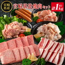 【ふるさと納税】◇宮崎県産のお肉を堪能!! 老舗焼肉店の焼肉セット(タレ・塩胡椒付き )計1kg以上