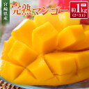 【ふるさと納税】◆宮崎県産 完熟マンゴー(合計約1kg)