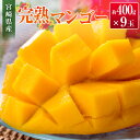 【ふるさと納税】◆宮崎県産 完熟マンゴー(9玉)