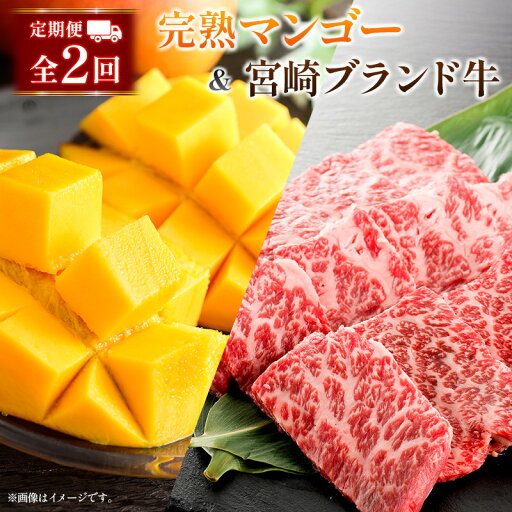 【ふるさと納税】定期便 完熟マンゴー 2L×2玉 & 宮崎ブランド牛 計1kg 全2回 宮崎特産 牛肉 フルーツ 果物 【ふるさと納税】定期便 完熟マンゴー 2L×2玉 & 宮崎ブランド牛 計1kg 全2回 宮崎特産 牛肉 フルーツ 果物