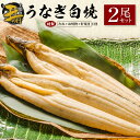 【ふるさと納税】【土用の丑の日】うなぎ白焼2尾セット 計362g以上 肝焼き付 中村商店