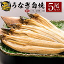 【ふるさと納税】【土用の丑の日】うなぎ白焼5尾セット 計905g以上 中村商店