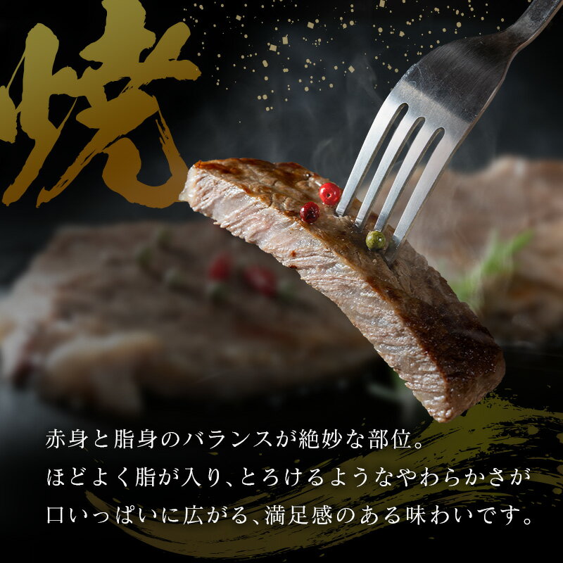 【ふるさと納税】【産地直送】宮崎県産 国産 黒毛和牛 赤身 サーロインステーキ 200g×3枚 3