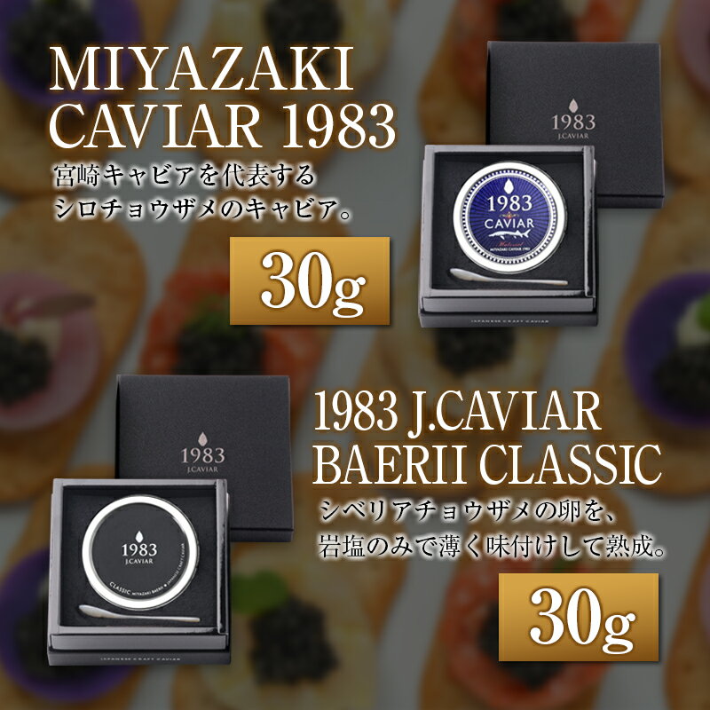 【ふるさと納税】◇宮崎キャビア1983 & 1983 J.CAVIAR 30g×4種食べ比べセット